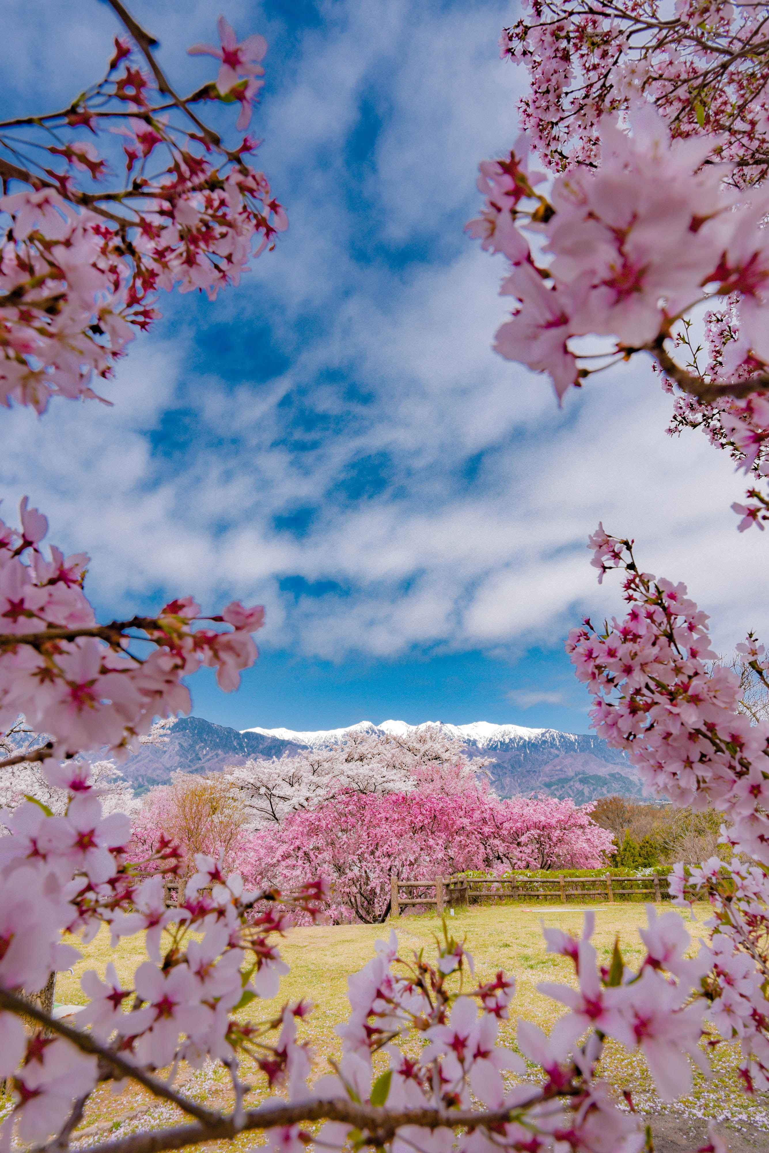 美しい景色に癒される スタッフブログ アライブの賃貸物件 浜松市周辺の賃貸情報 浜松 磐田 袋井 掛川