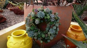 taniku ri-su.JPGのサムネイル画像