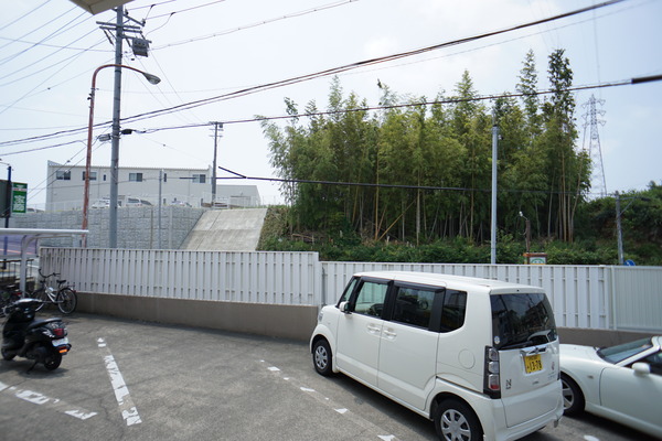 DSC03560.JPG