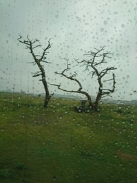 20190310_sai (3).jpg