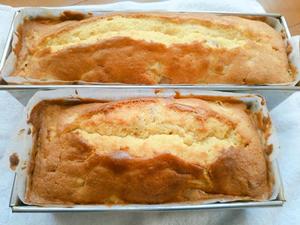 写真：期日前投票行ってきました