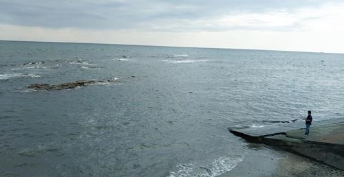 写真：富士山世界文化遺産『三保の松原』
