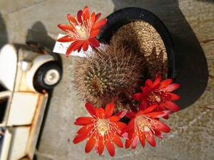 kak_sait (13).jpg