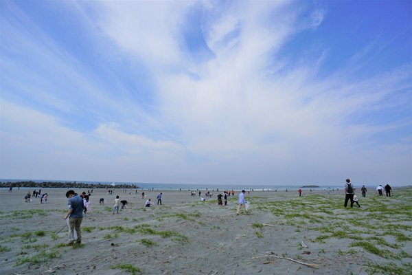 写真：海のお掃除