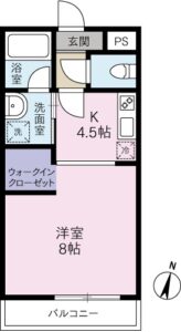 写真：【ルームツアー】家賃3万円でペットと暮らせる！ウォークインクローゼット付き1R「ララヒルズ107」