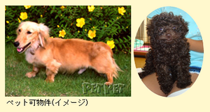 201202_3.png