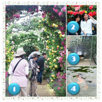 写真：動物園＆フラワーパーク