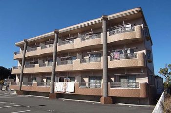 写真：【大型ワンルーム】掛川市平野１R「ラ・ソフィア」【JR愛野駅】